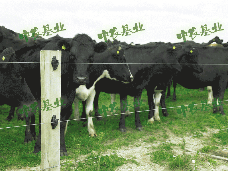中農(nóng)基業(yè)智能電圍欄使用事項