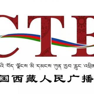 西藏交通電臺廣告投放中心費(fèi)用/15秒硬廣植入口播強(qiáng)勢來襲