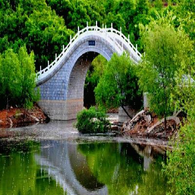 浙江出租全國房地產經紀人證和協理證，配合注冊備案