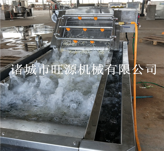 藍(lán)莓清洗機(jī) 全自動(dòng)