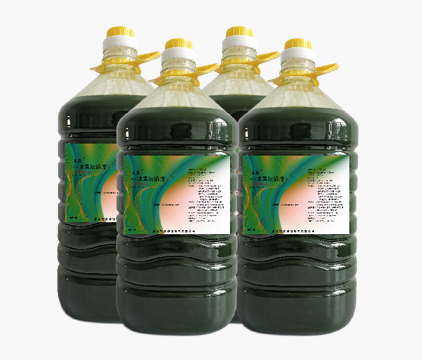 供應海水小球藻廠家直銷聯系電話