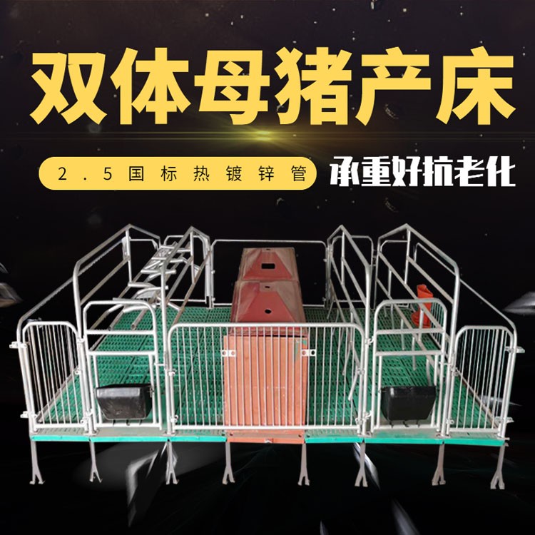雙體母豬產(chǎn)床 保育床分娩床 養(yǎng)豬場(chǎng)設(shè)備