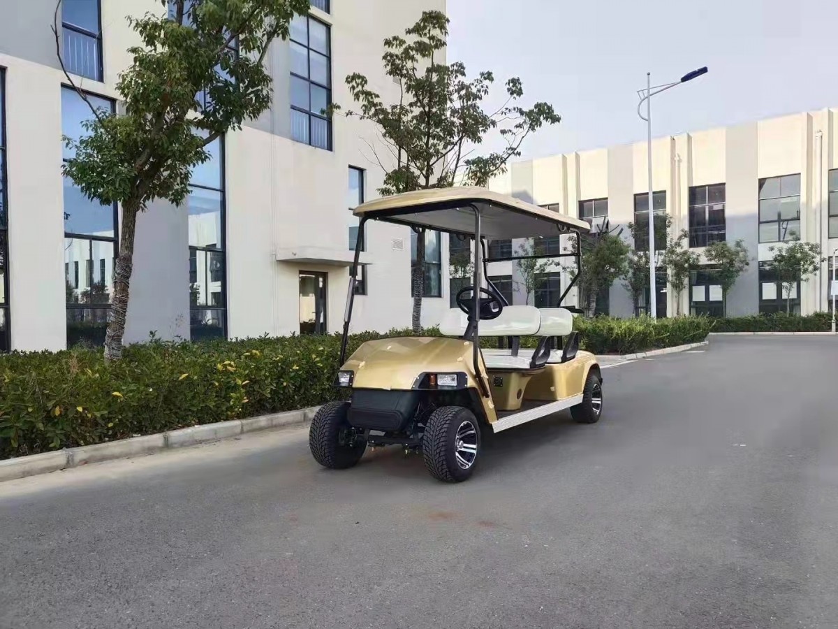 高爾夫球車(chē)8座6+2